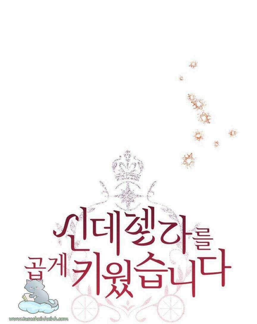 Tôi Trở Thành Mẹ Kế Của Cinderella Chapter 62 trang 7