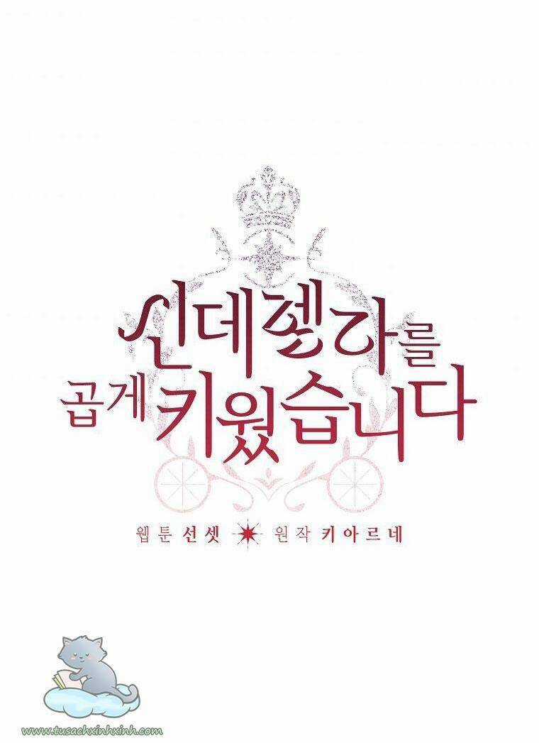 Tôi Trở Thành Mẹ Kế Của Cinderella Chapter 64 trang 2