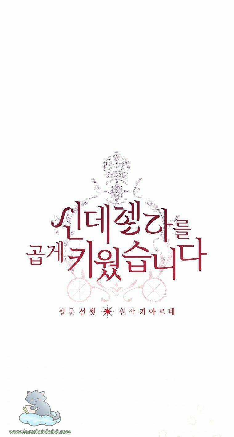 Tôi Trở Thành Mẹ Kế Của Cinderella Chapter 65 trang 0