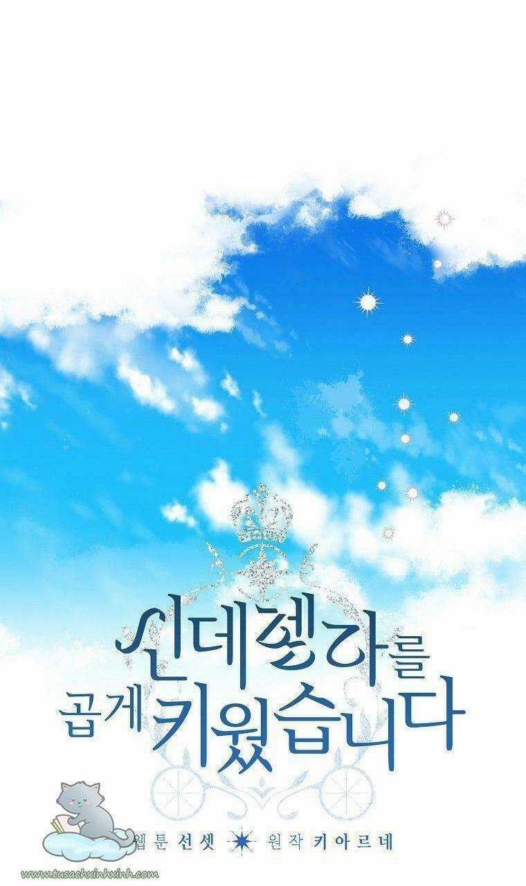 Tôi Trở Thành Mẹ Kế Của Cinderella Chapter 66 trang 7