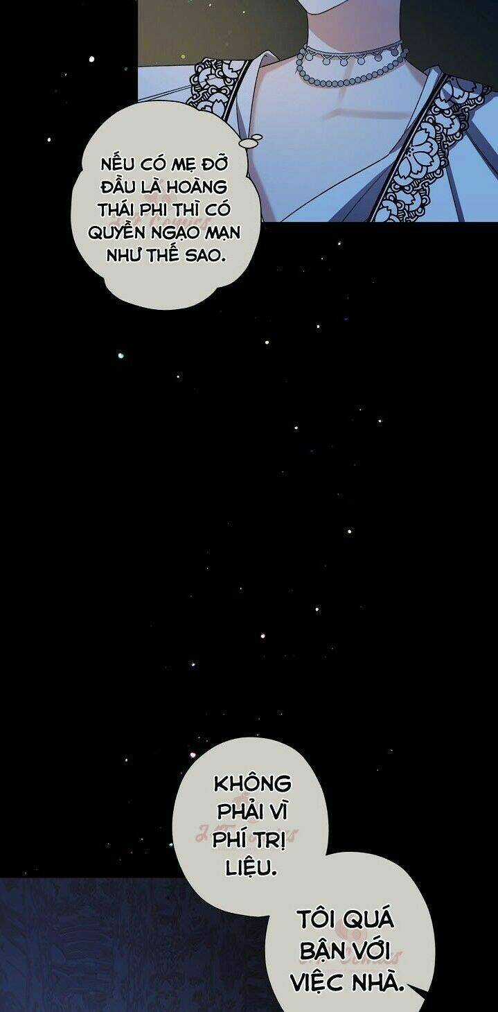 Tôi Trở Thành Mẹ Kế Của Cinderella Chapter 7 trang 23