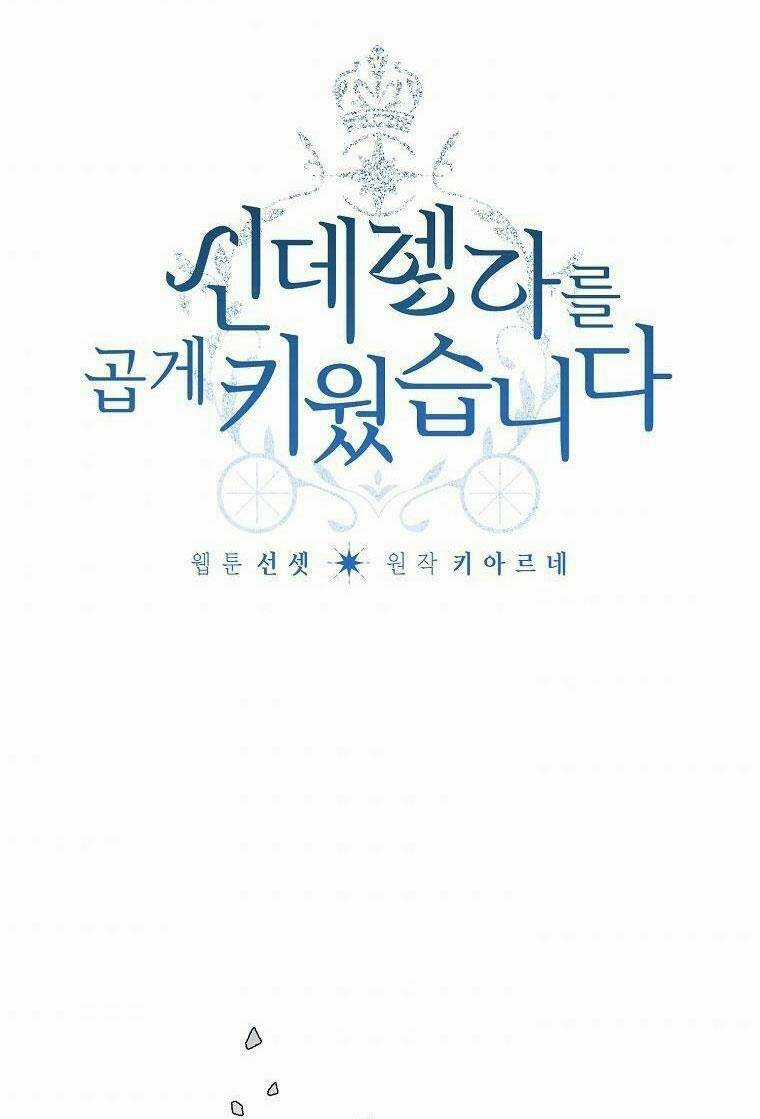 Tôi Trở Thành Mẹ Kế Của Cinderella Chapter 71 trang 1