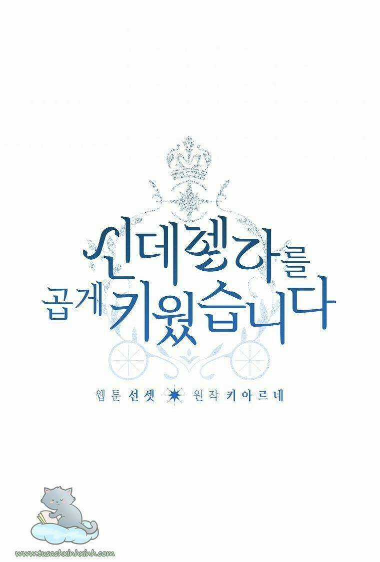 Tôi Trở Thành Mẹ Kế Của Cinderella Chapter 72 trang 2