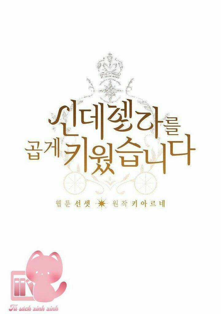 Tôi Trở Thành Mẹ Kế Của Cinderella Chapter 78 trang 9