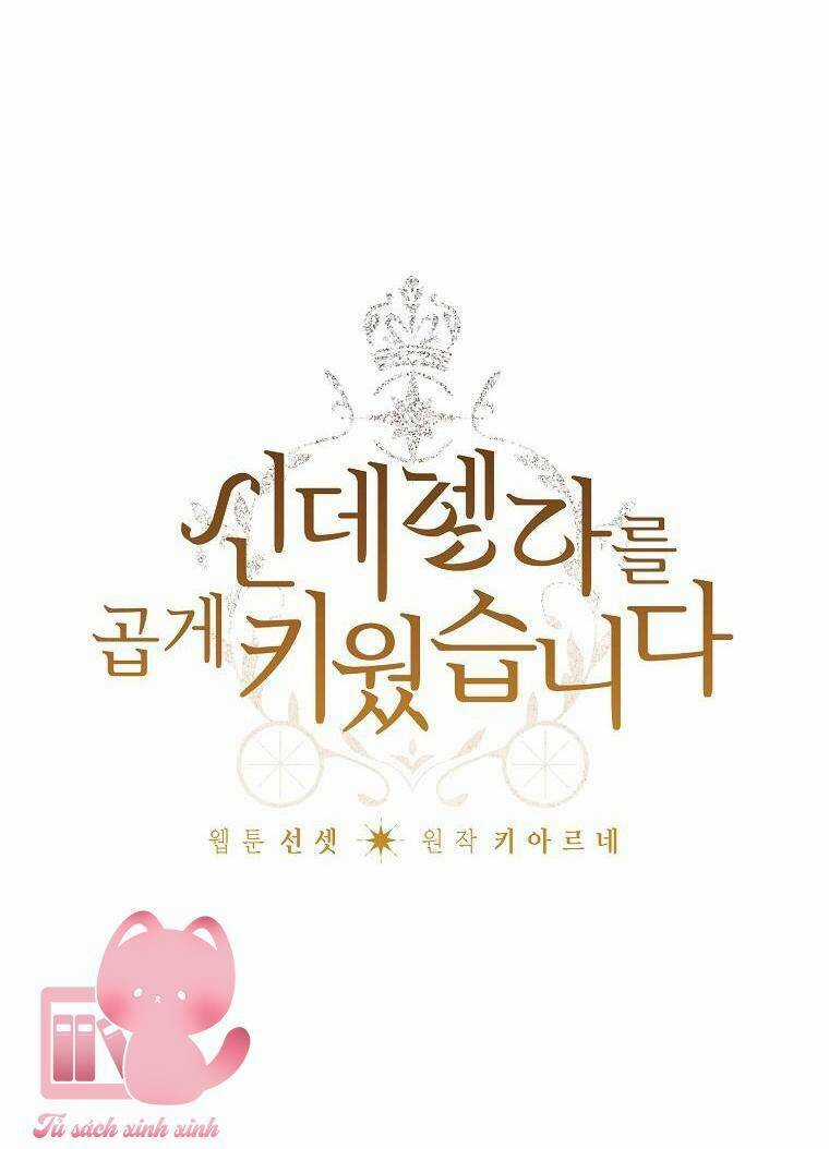 Tôi Trở Thành Mẹ Kế Của Cinderella Chapter 84 trang 17