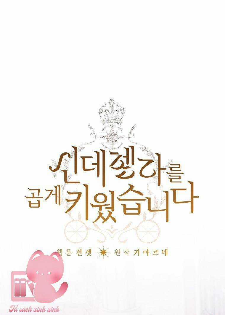 Tôi Trở Thành Mẹ Kế Của Cinderella Chapter 85 trang 13