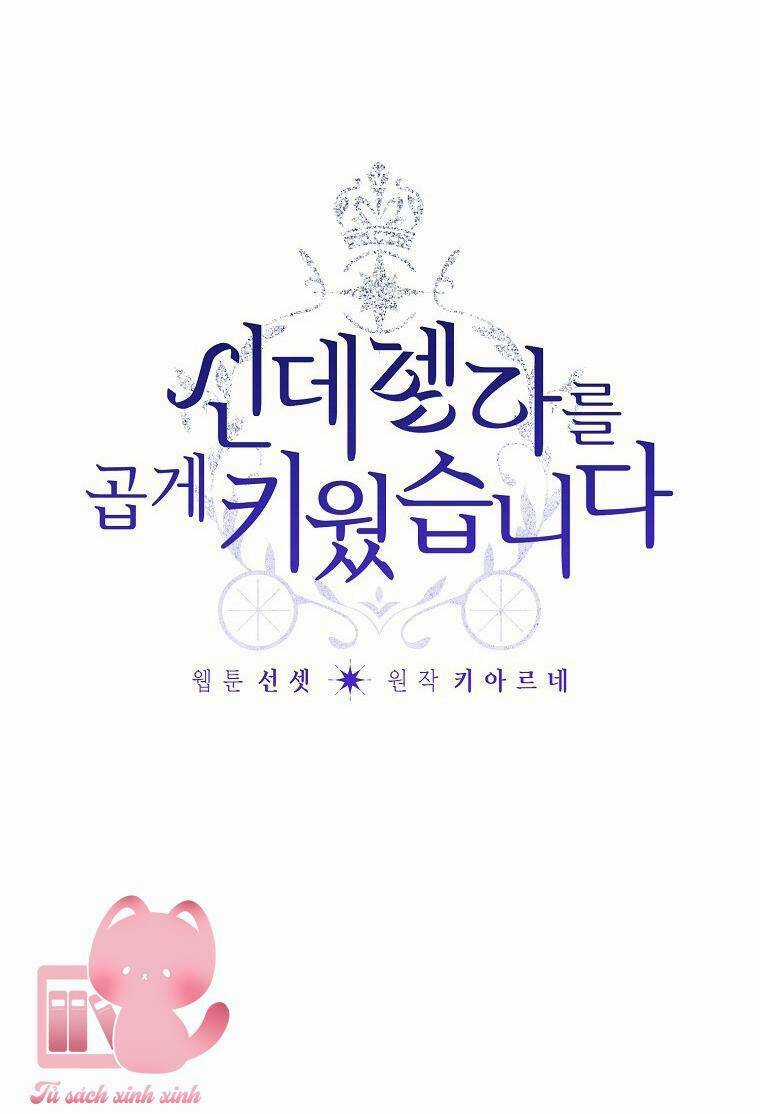 Tôi Trở Thành Mẹ Kế Của Cinderella Chapter 95 trang 9