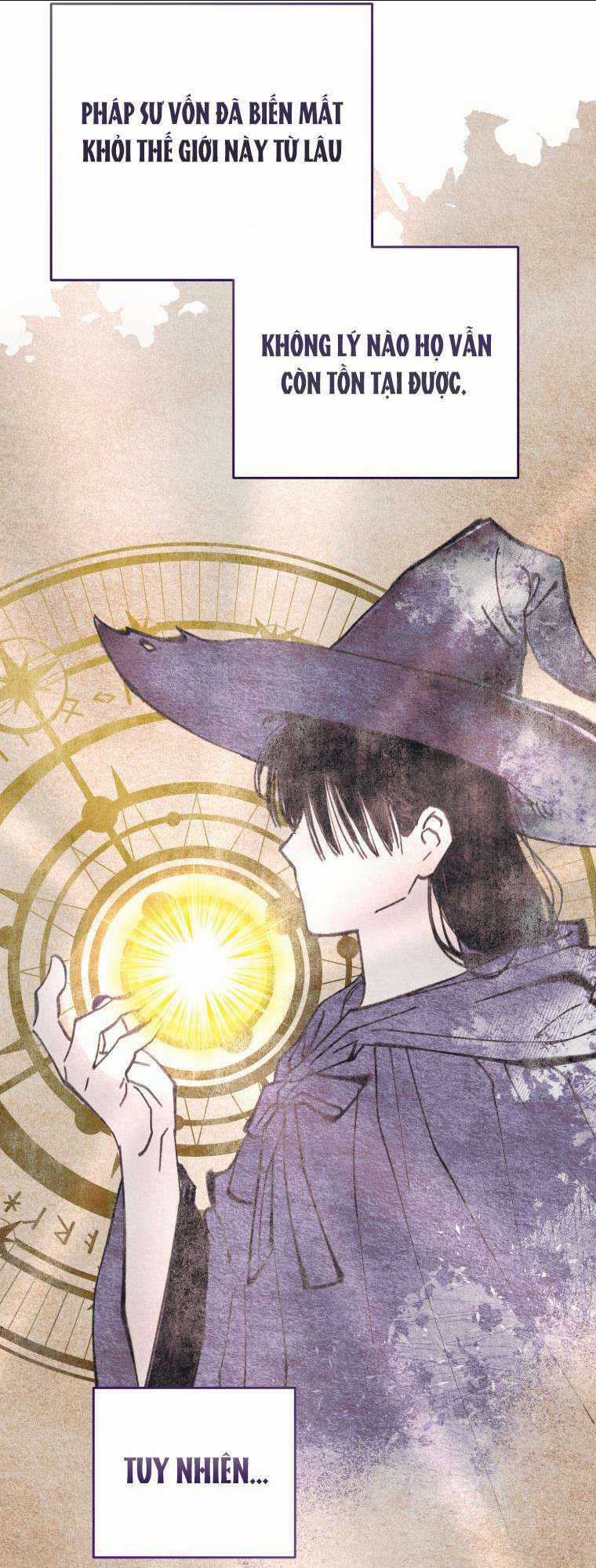 Tôi Trở Thành Mẹ Kế Của Gia Đình Hắc Ám Chapter 14 trang 27