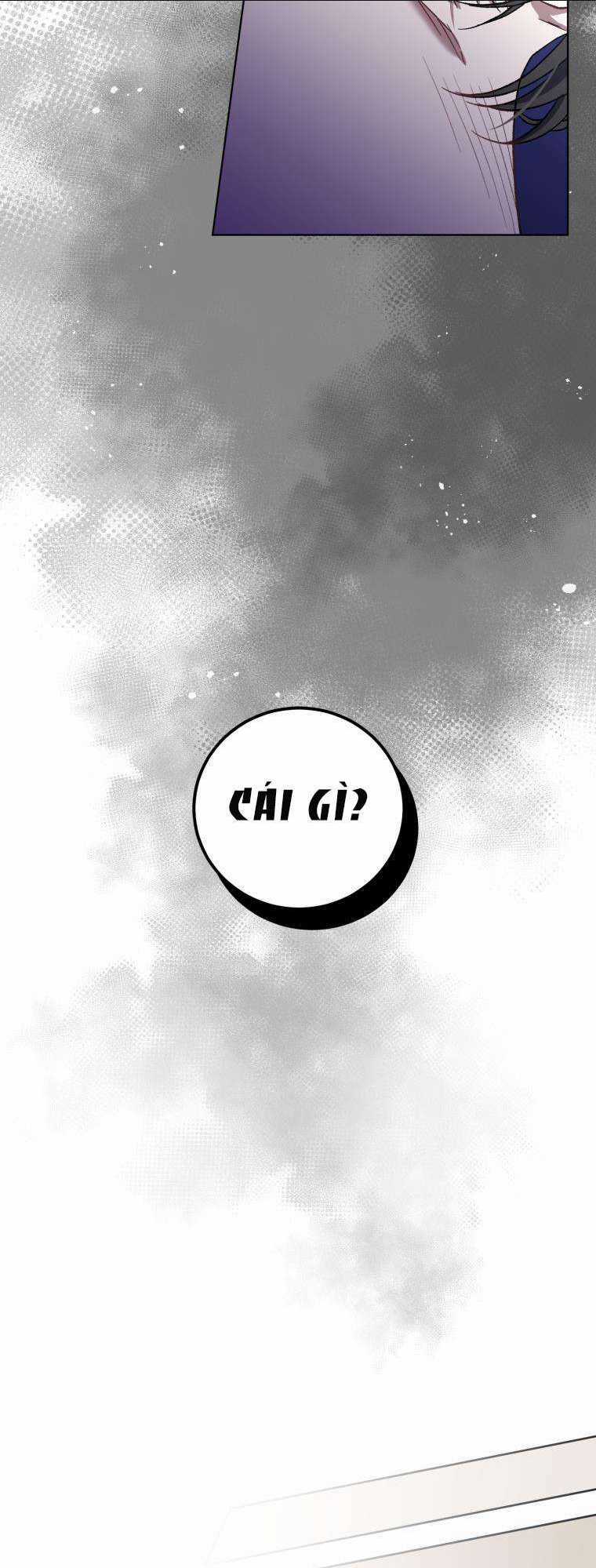 Tôi Trở Thành Mẹ Kế Của Gia Đình Hắc Ám Chapter 2 trang 4