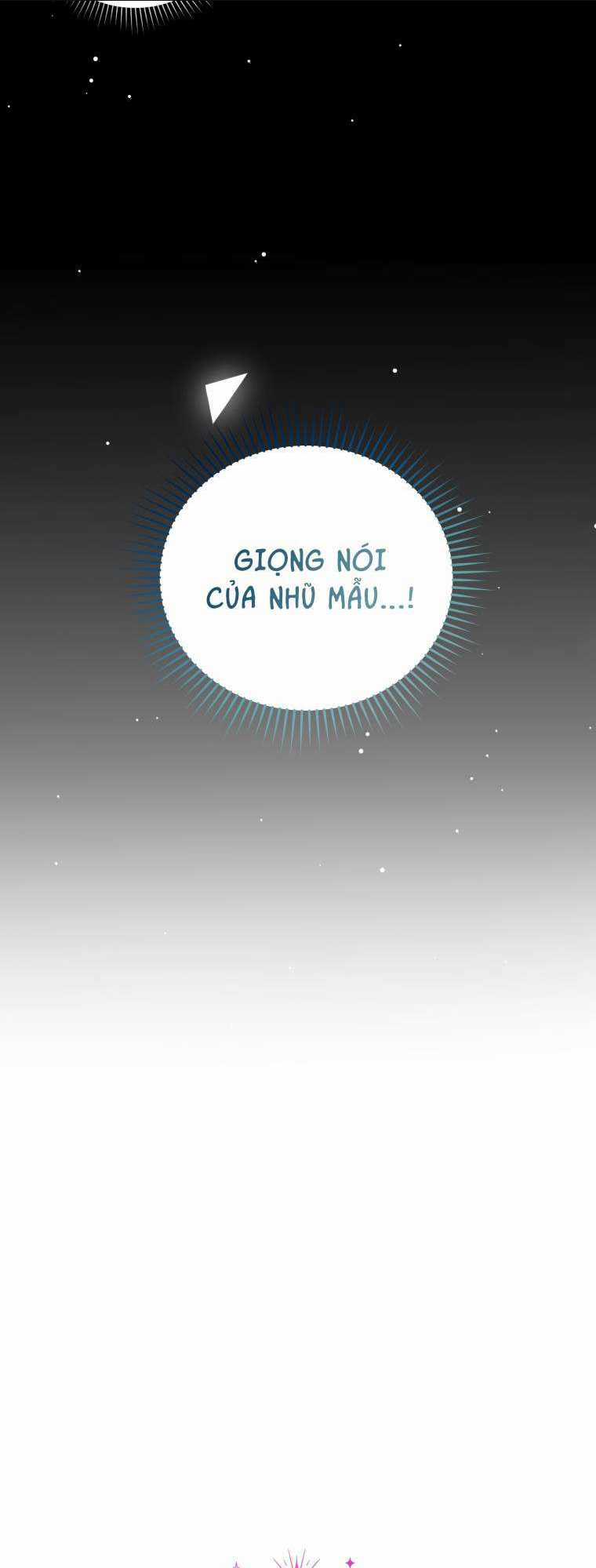 Tôi Trở Thành Mẹ Kế Của Gia Đình Hắc Ám Chapter 6 trang 13