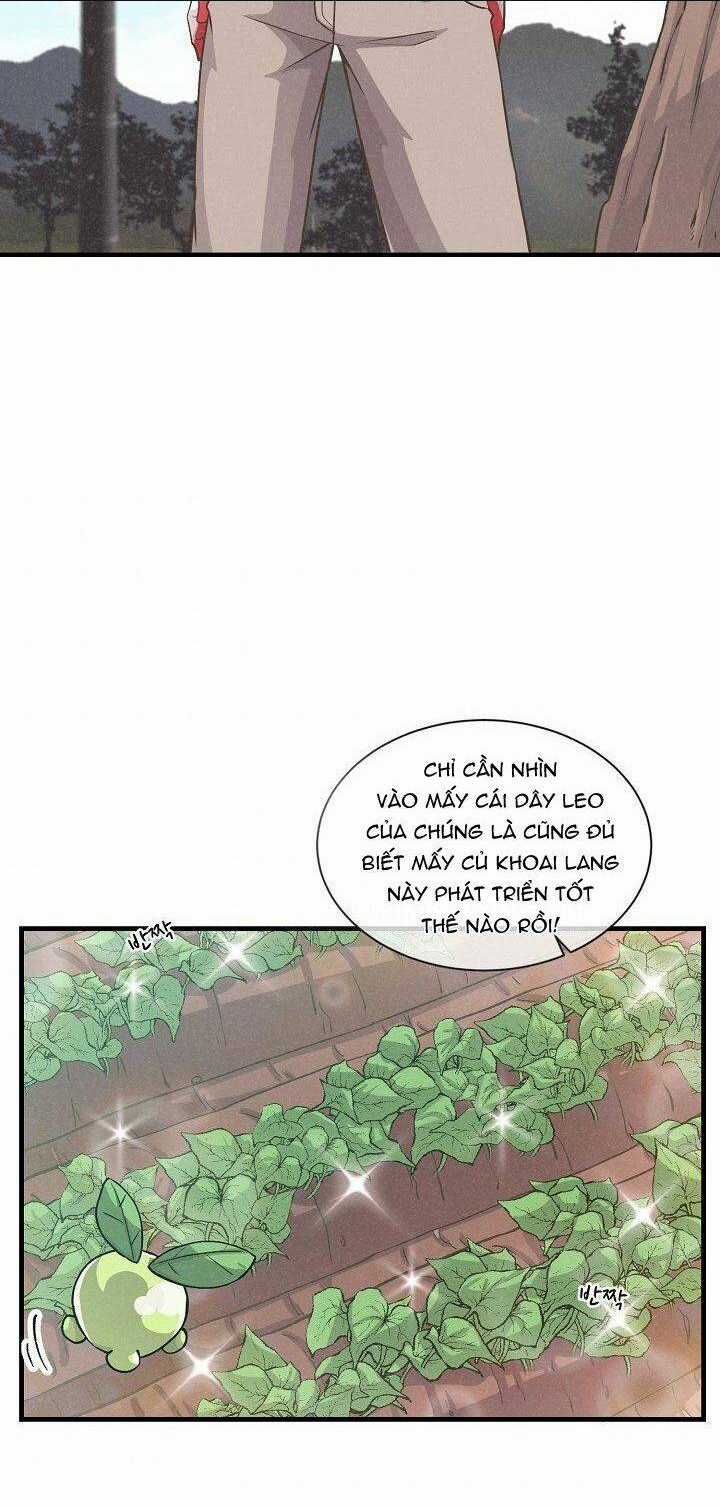 Tôi Trở Thành Một Nông Dân Chapter 11 trang 2