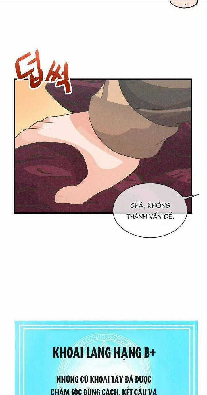 Tôi Trở Thành Một Nông Dân Chapter 16 trang 14