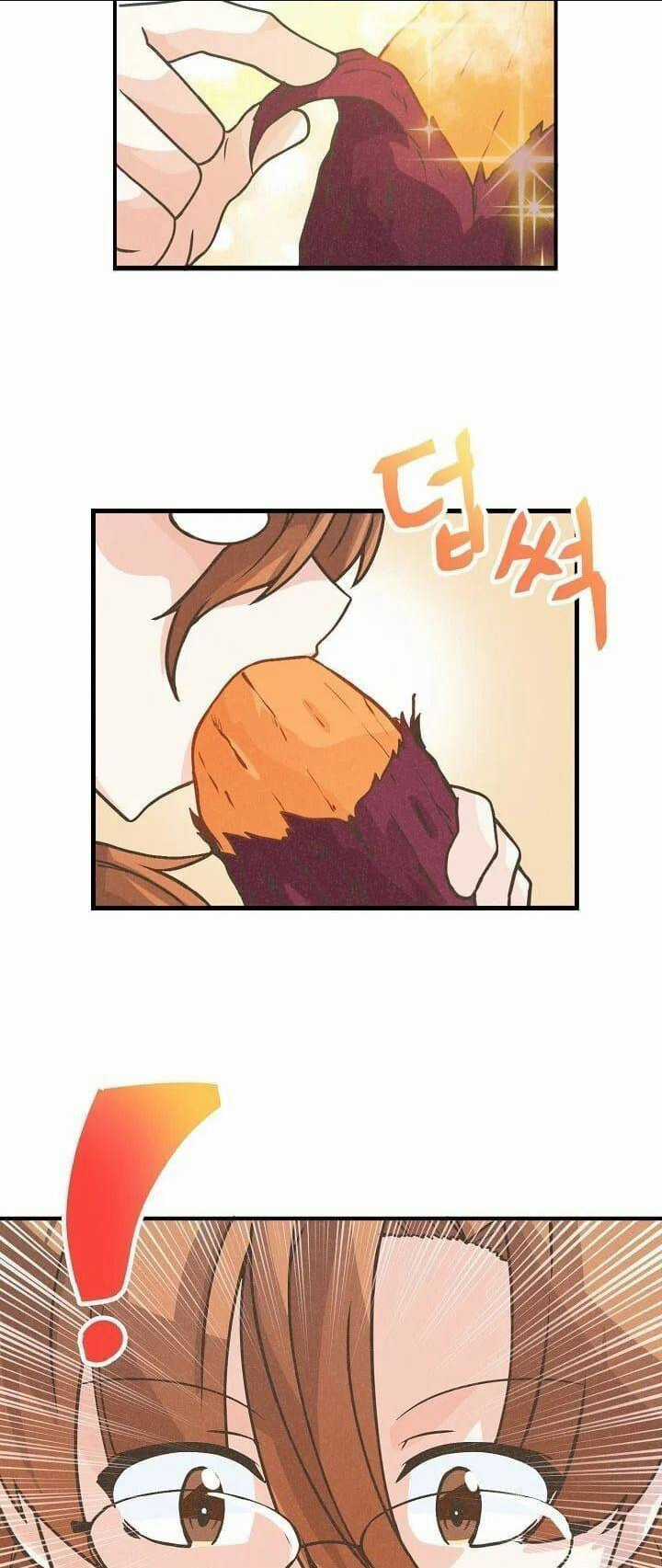 Tôi Trở Thành Một Nông Dân Chapter 17 trang 31