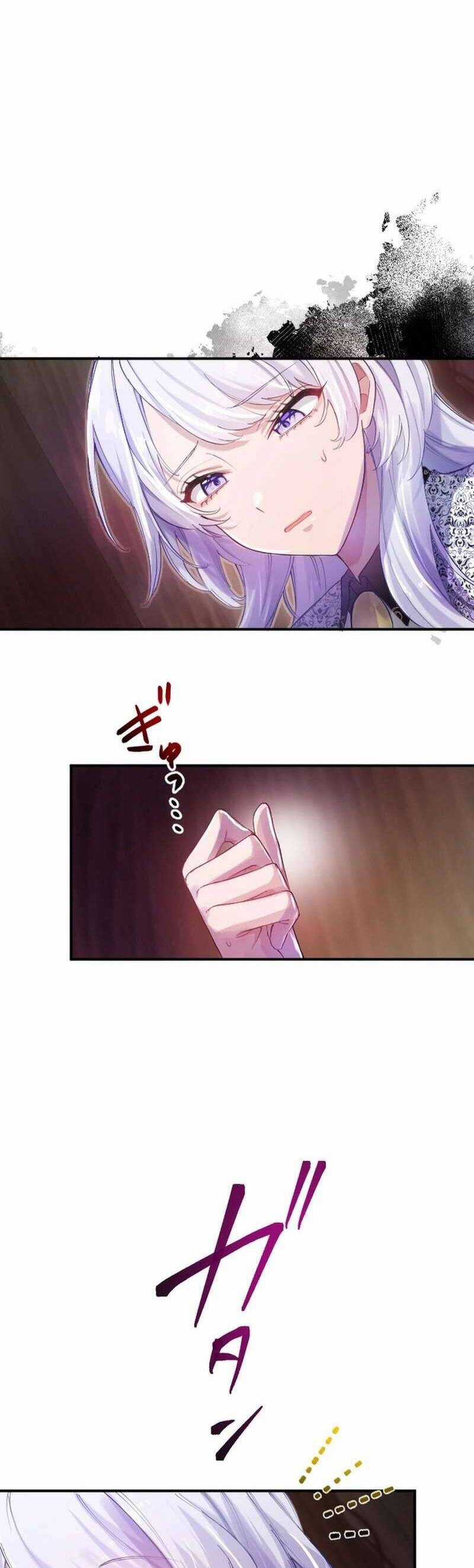 Tôi Trở Thành Người Hầu Của Người Mình Thích Chapter 3 trang 47