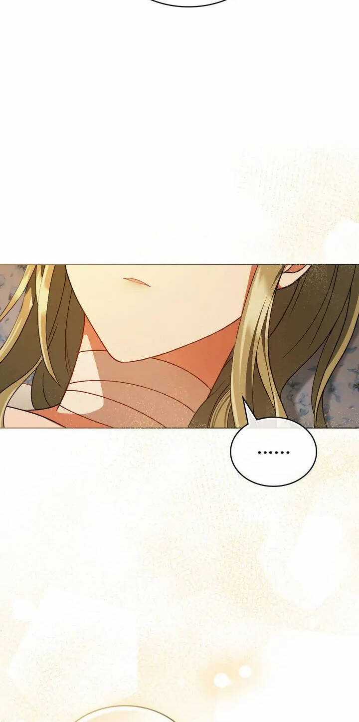 Tôi Trở Thành Nhân Vật Phản Diện Thực Sự Chapter 9 trang 17