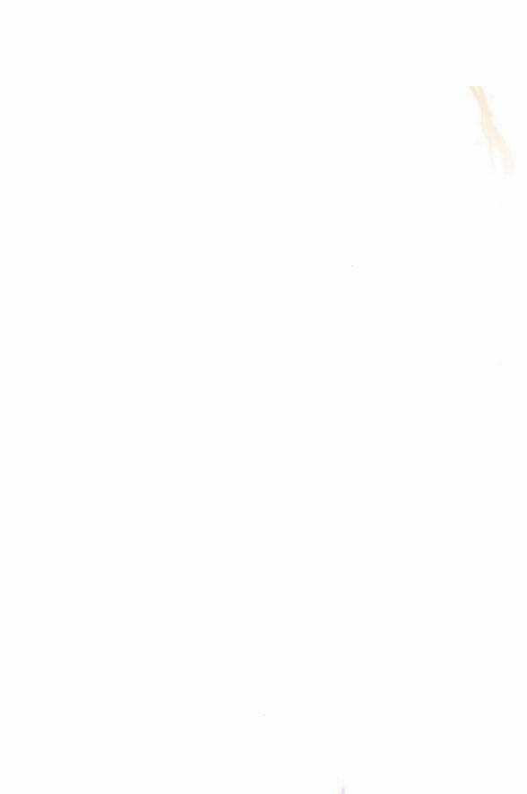 Tôi Trở Thành Nhân Vật Phản Diện Trong Một Cuốn Tiểu Thuyết Chết Chóc Chapter 3.1 trang 29