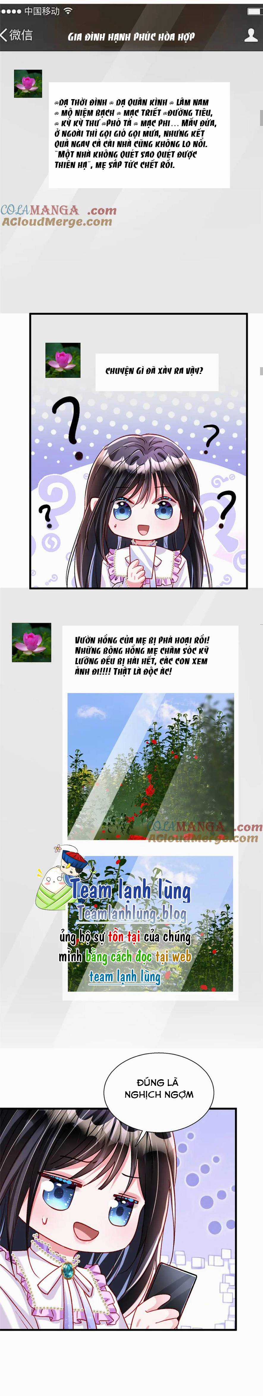 TÔI TRỞ THÀNH PHU NHÂN GIÀU CÓ CỦA TỔNG TÀI SIÊU NGẦU Chapter 210 trang 8