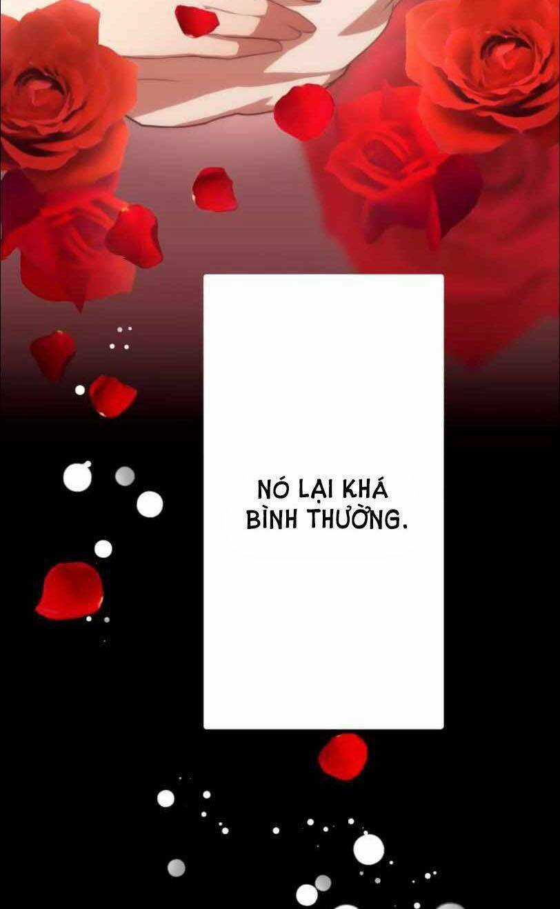 Tôi Trở Thành Thợ Săn Rank S Bằng Hệ Thống Quỷ Vương Chapter 17 trang 4