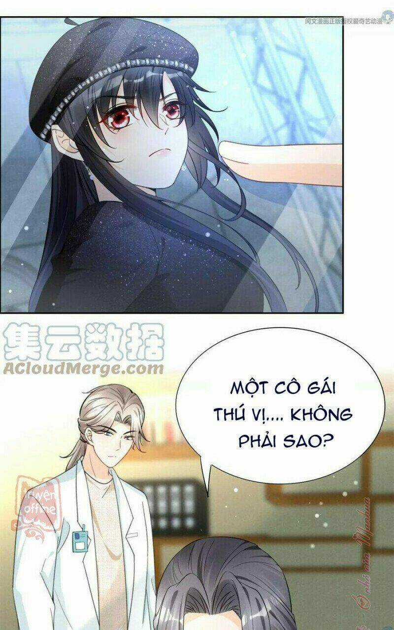 Tôi Trở Thành Tổ Tông Của 5 Vị Đại Lão Chapter 83 trang 12