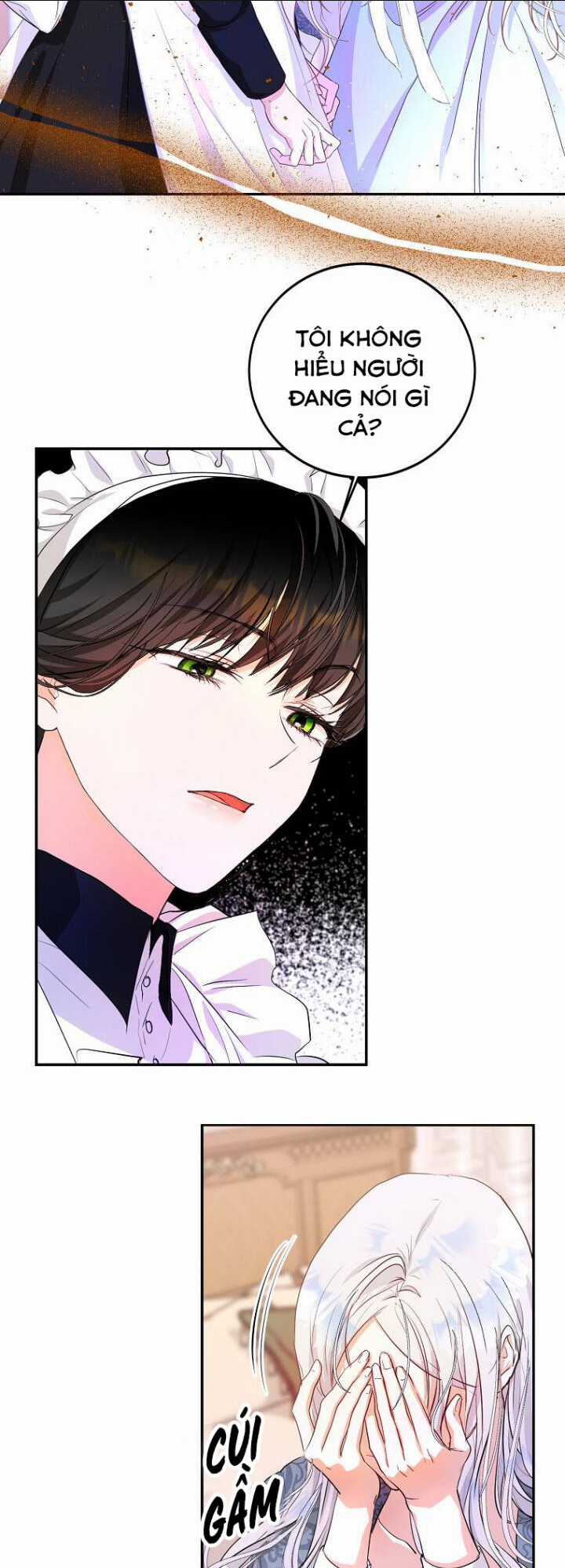 Tôi Trở Thành Vợ Nam Chính Chapter 21 trang 21