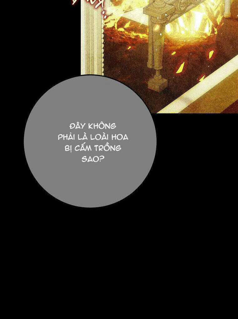 Tôi Trở Thành Vợ Nam Chính Chapter 93 trang 2