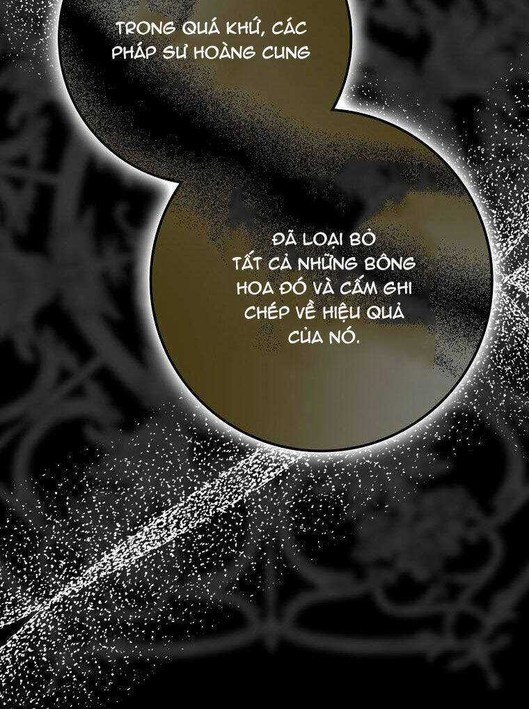 Tôi Trở Thành Vợ Nam Chính Chapter 93 trang 8