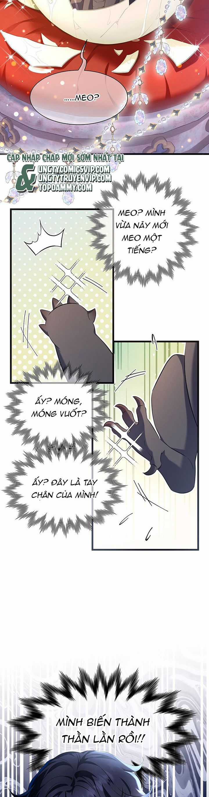 Tôi Trùng Sinh Trở Thành Tiểu Ác Long Của Vương Tử Điện Hạ Chapter 1 trang 3