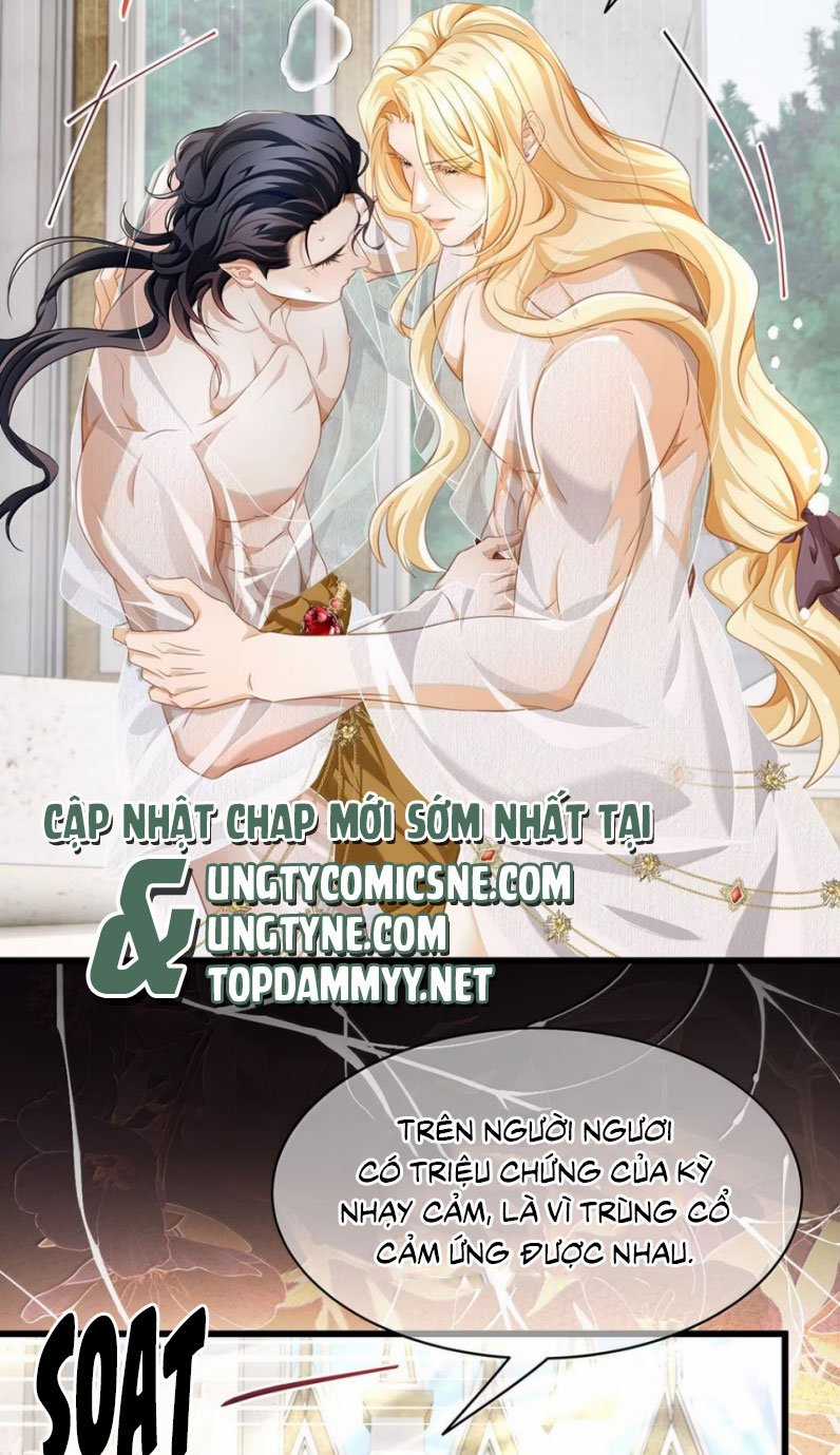 Tôi Trùng Sinh Trở Thành Tiểu Ác Long Của Vương Tử Điện Hạ Chapter 63 trang 9