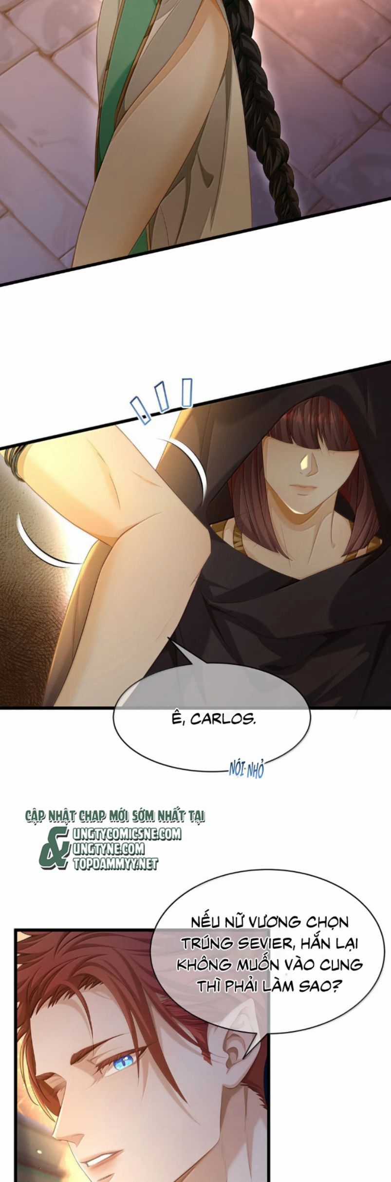 Tôi Trùng Sinh Trở Thành Tiểu Ác Long Của Vương Tử Điện Hạ Chương 77 trang 13