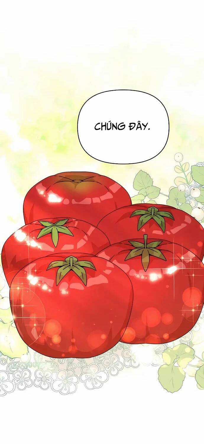 Tôi Từ Bỏ Tất Cả Để Khởi Đầu Ở Một Thế Giới Khác Chapter 60 trang 31