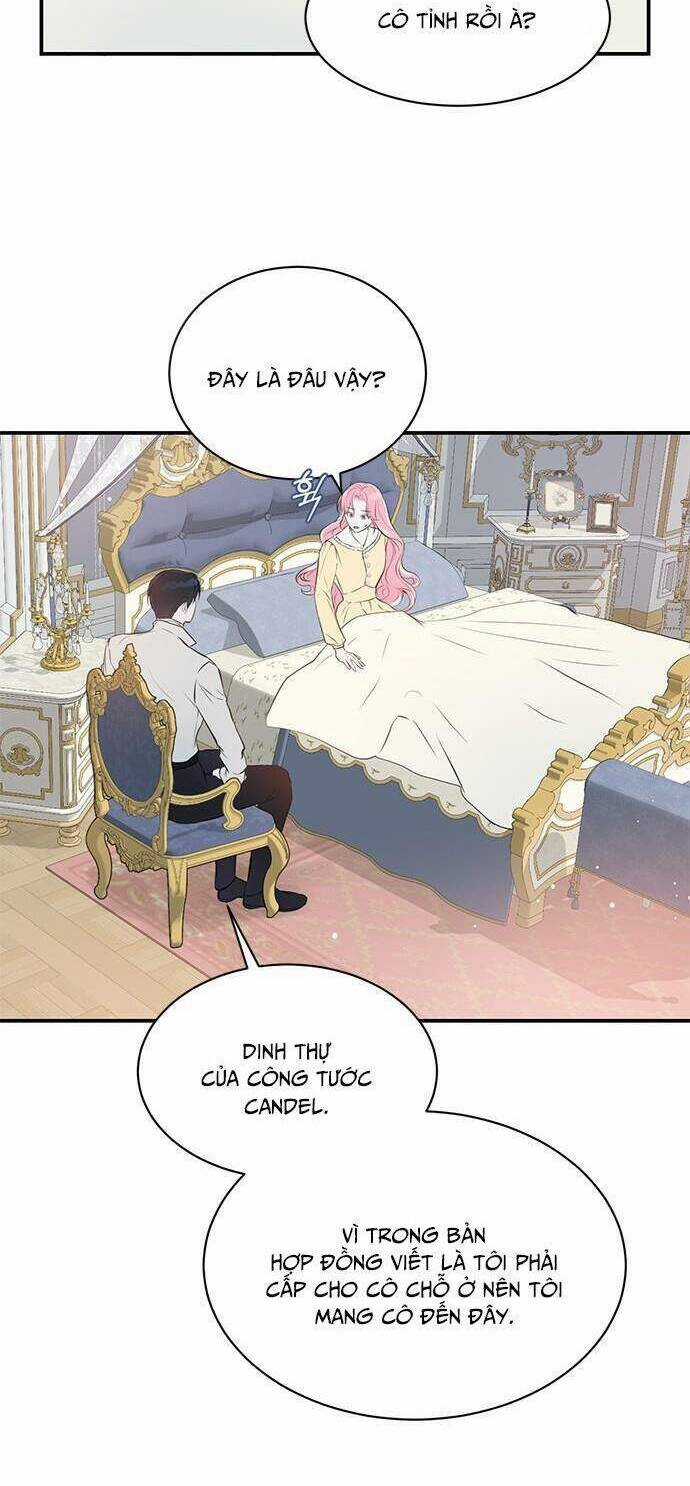 Tôi Tưởng Đây Chính Là Thời Hạn Rồi! Chapter 4 trang 23