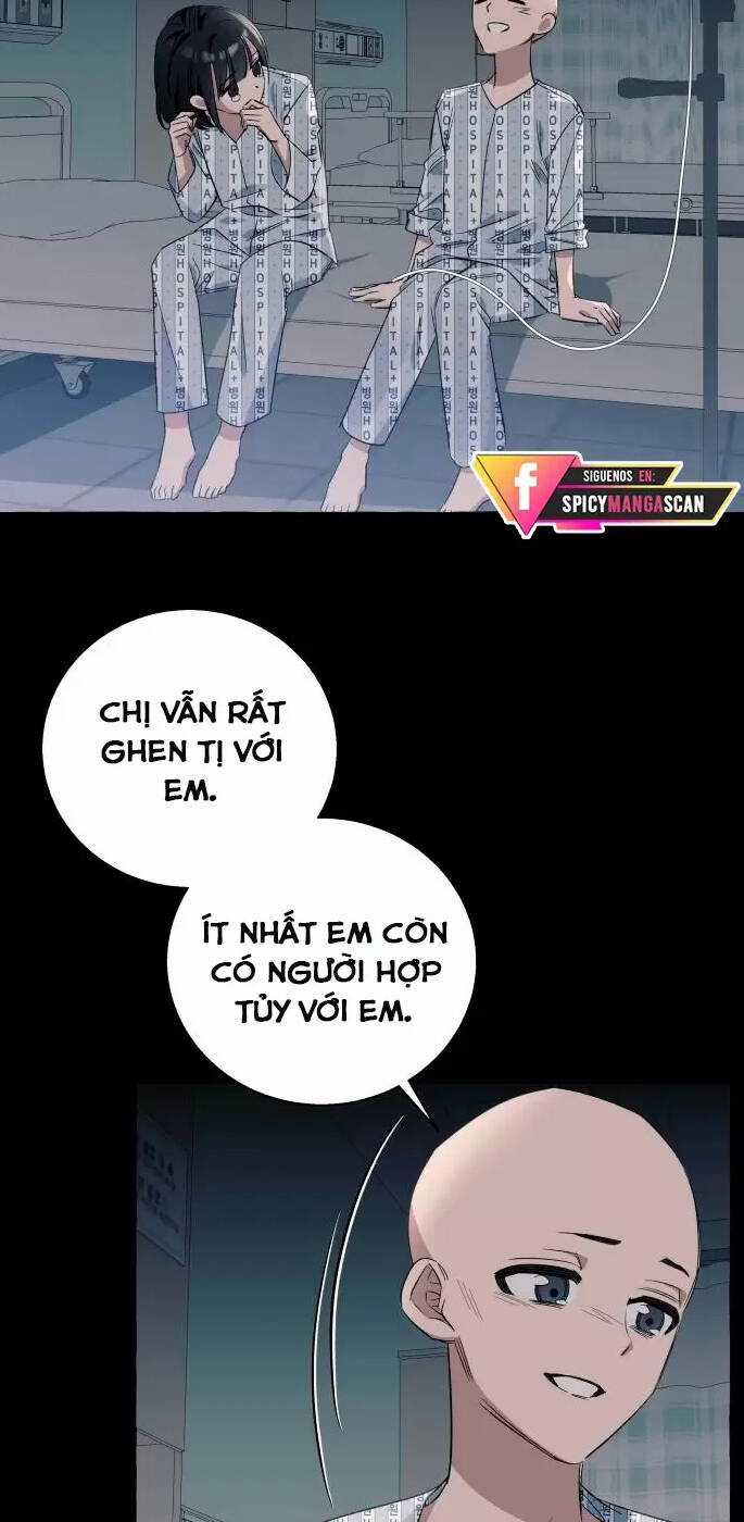 Tôi Tưởng Đó Chỉ Là Tiểu Thuyết Trọng Sinh Bình Thường Chapter 15 trang 43