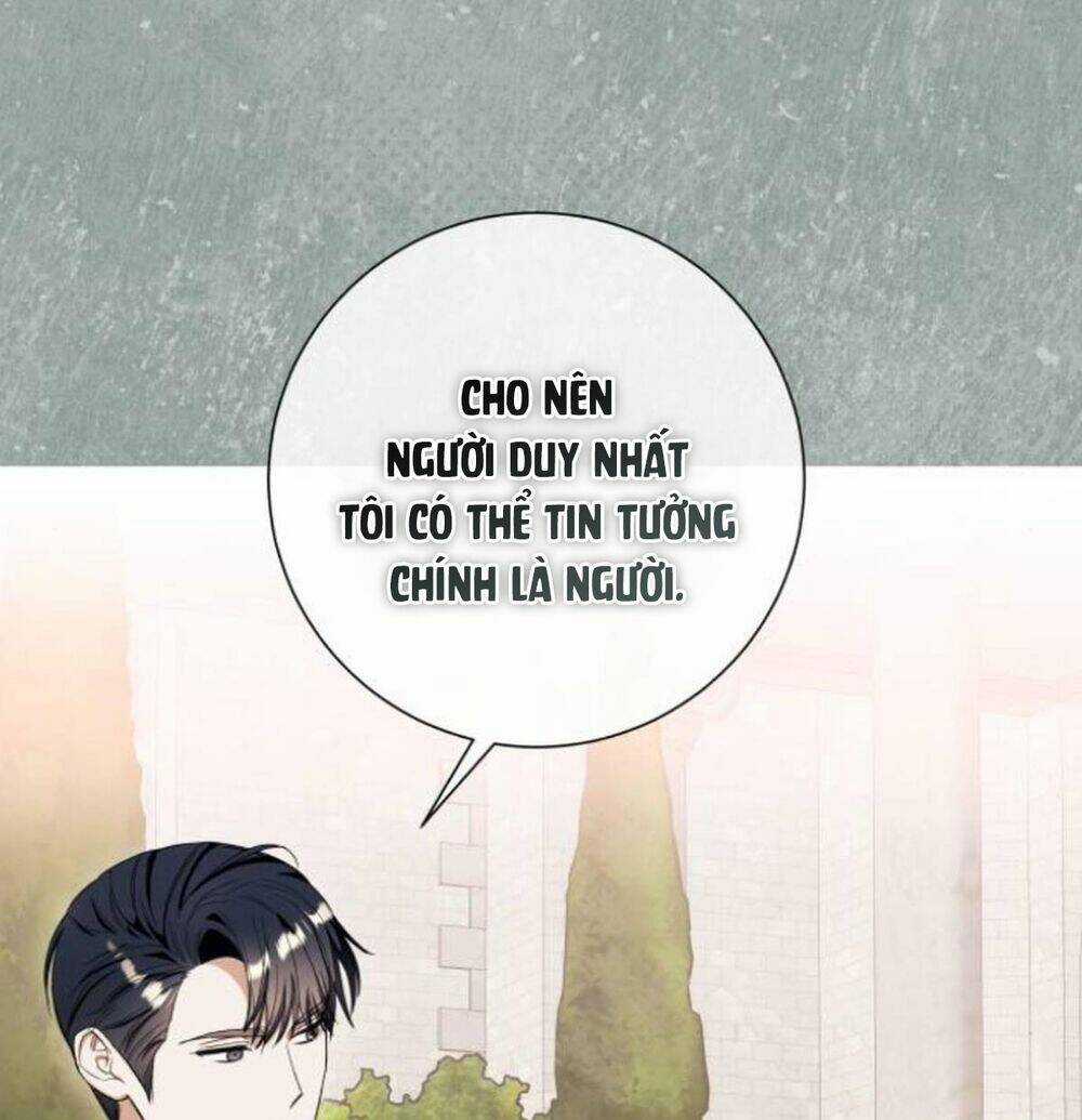 Tôi Tưởng Đó Chỉ Là Tiểu Thuyết Trọng Sinh Bình Thường Chapter 41 trang 15