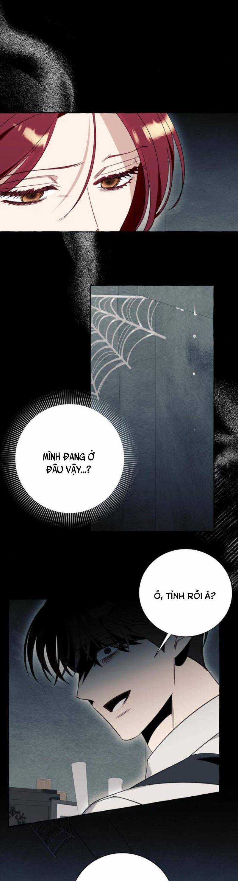 Tôi Tưởng Đó Chỉ Là Tiểu Thuyết Trọng Sinh Bình Thường Chapter 56 trang 13