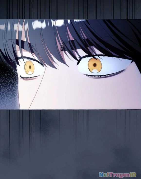 Tôi Tưởng Đó Chỉ Là Tiểu Thuyết Trọng Sinh Bình Thường Chapter 88 trang 15