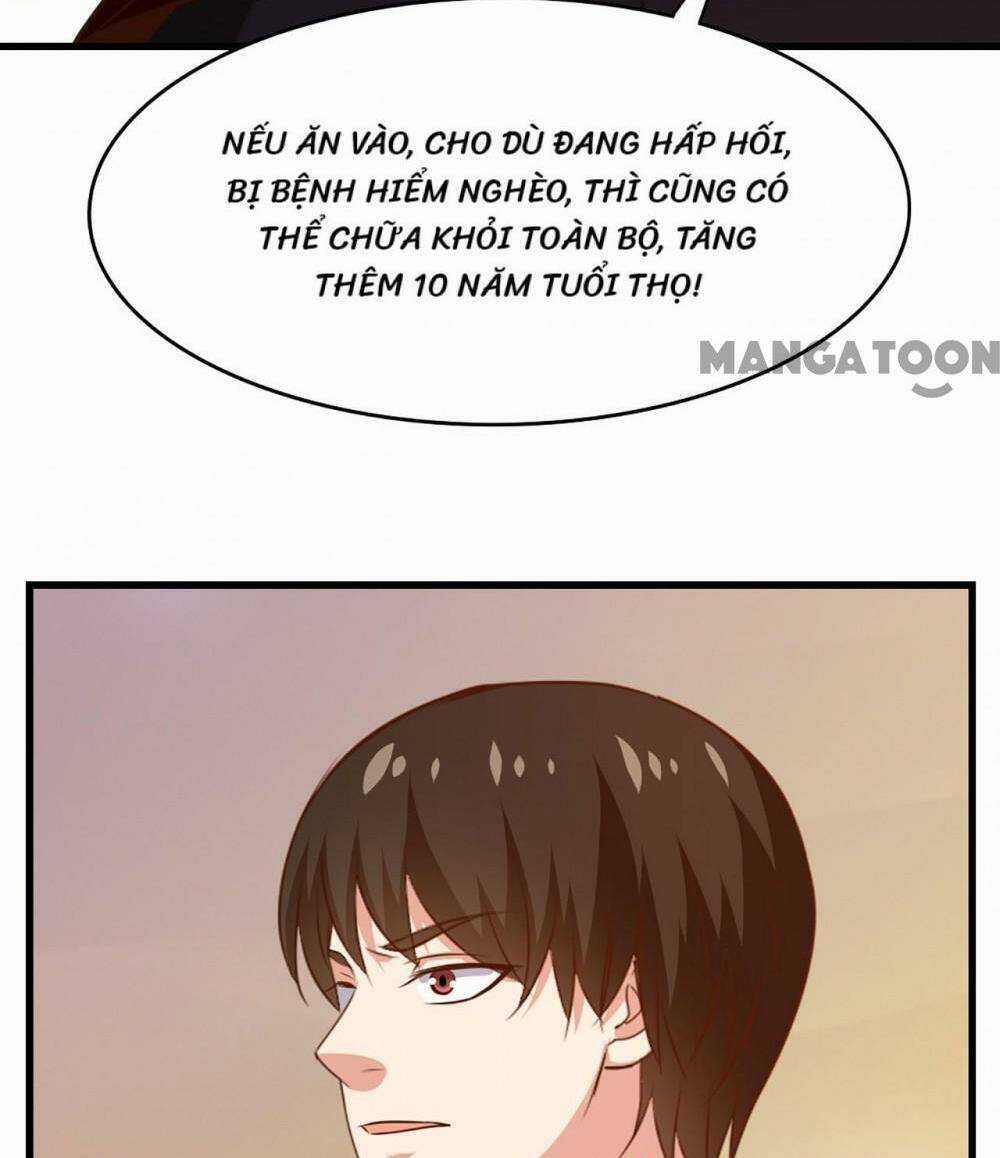 Tôi Và Cô Nàng Thuê Trọ Xinh Đẹp 26 Tuổi Chapter 276 trang 12