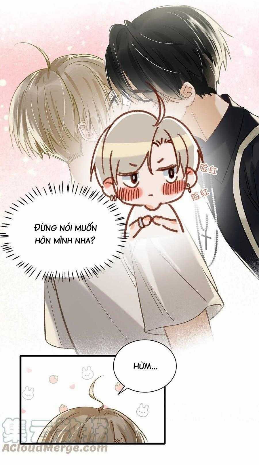 Tôi Và Đối Tác Của Tôi Chapter 41 trang 19