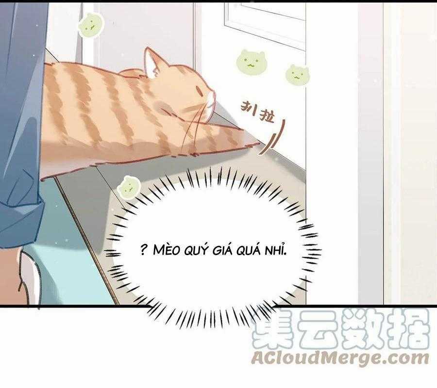 Tôi Và Đối Tác Của Tôi Chapter 55 trang 16