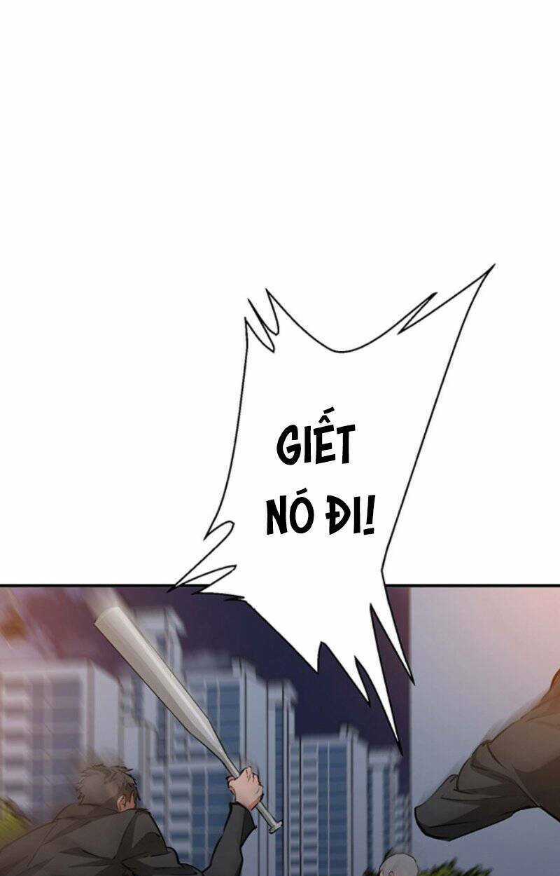 Tôi Viết Sách Để Thăng Cấp Chapter 109 trang 18