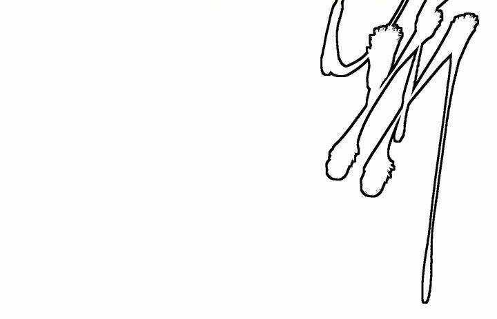 Tôi Viết Sách Để Thăng Cấp Chapter 115.5 trang 24