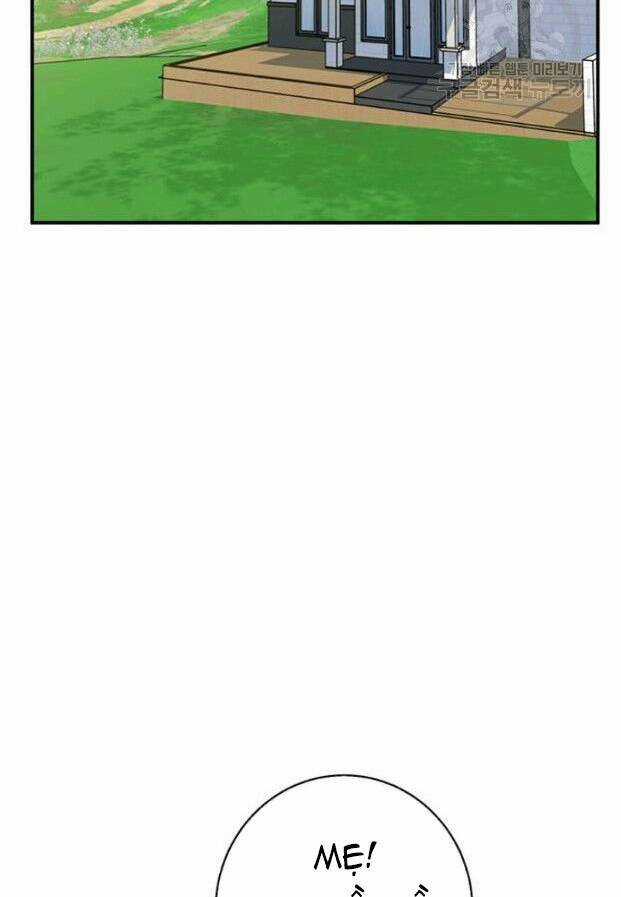 Tôi Viết Sách Để Thăng Cấp Chapter 117 trang 41