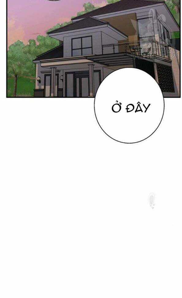 Tôi Viết Sách Để Thăng Cấp Chapter 117 trang 72