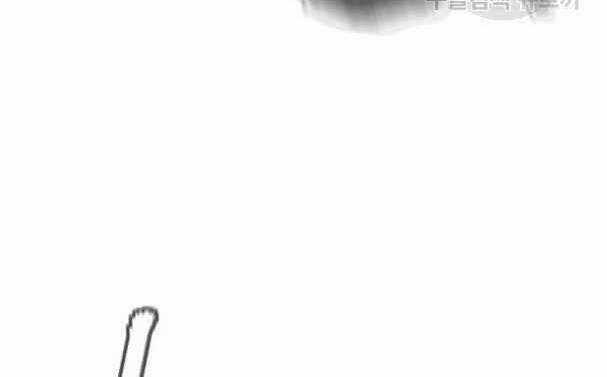 Tôi Viết Sách Để Thăng Cấp Chapter 135.5 trang 64