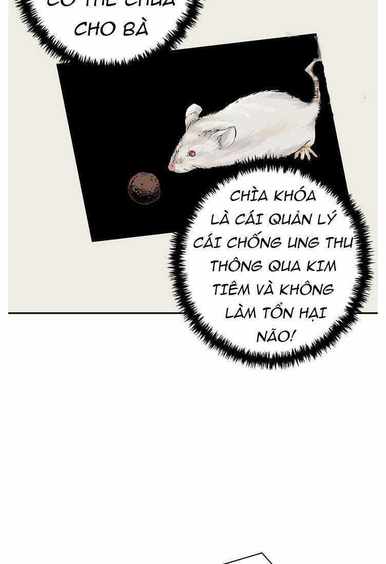 Tôi Viết Sách Để Thăng Cấp Chapter 95 trang 35