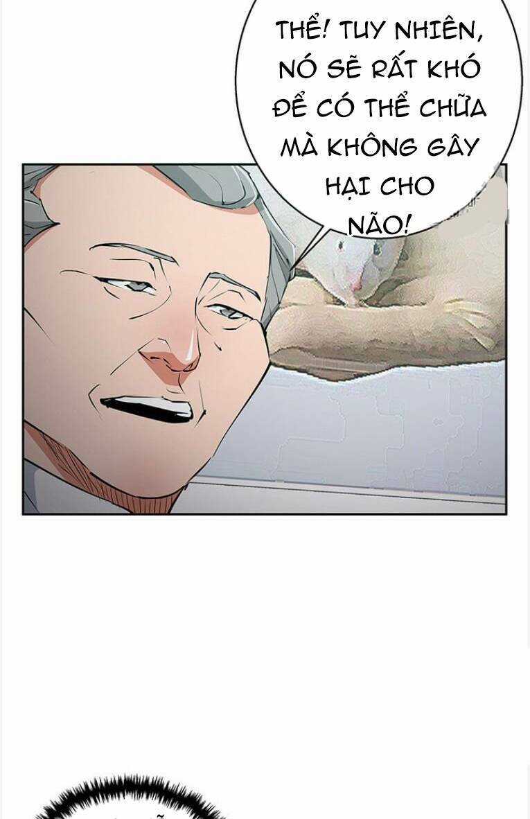 Tôi Viết Sách Để Thăng Cấp Chapter 96 trang 40