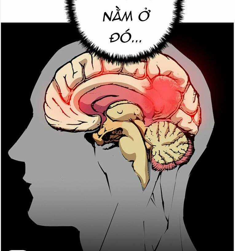 Tôi Viết Sách Để Thăng Cấp Chapter 96 trang 42