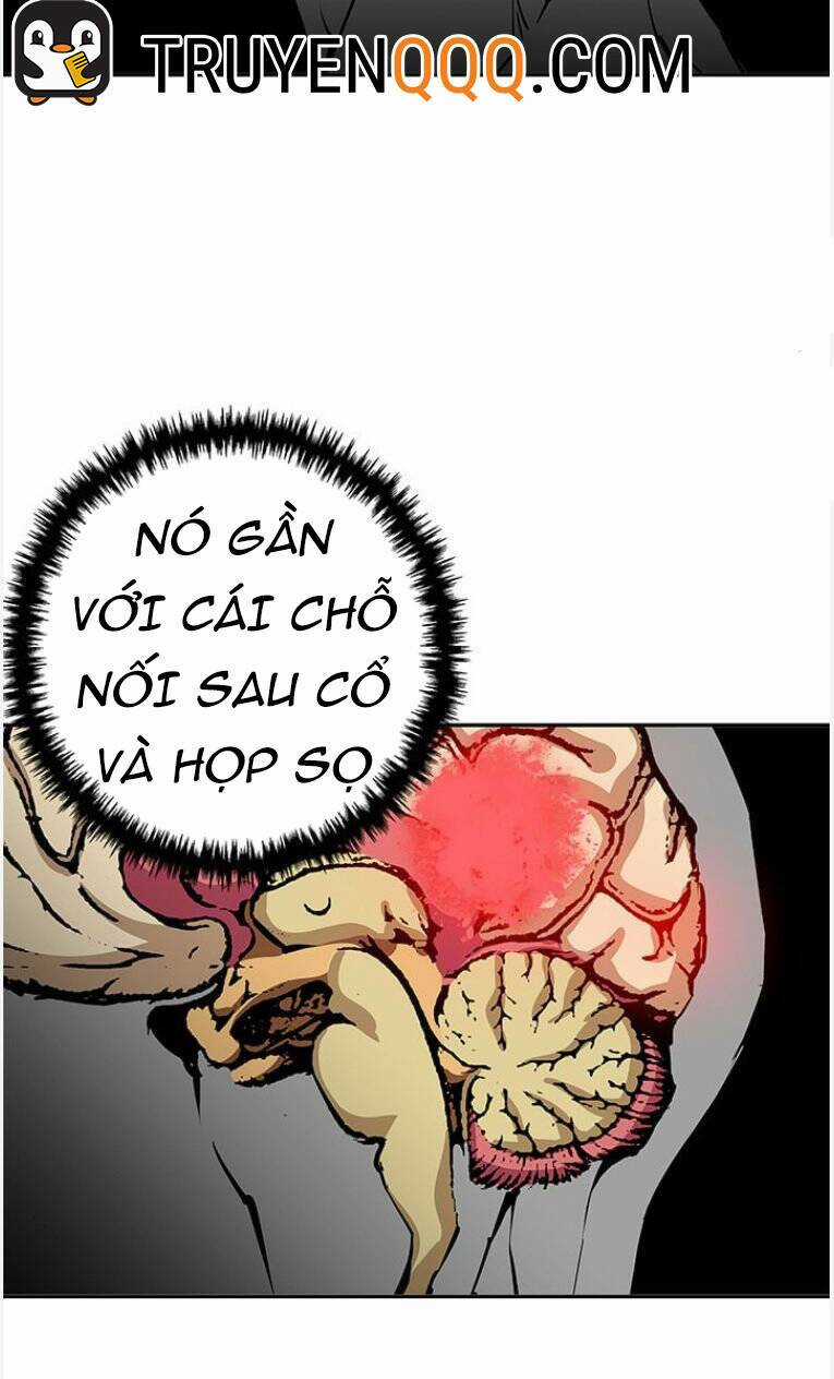 Tôi Viết Sách Để Thăng Cấp Chapter 96 trang 43