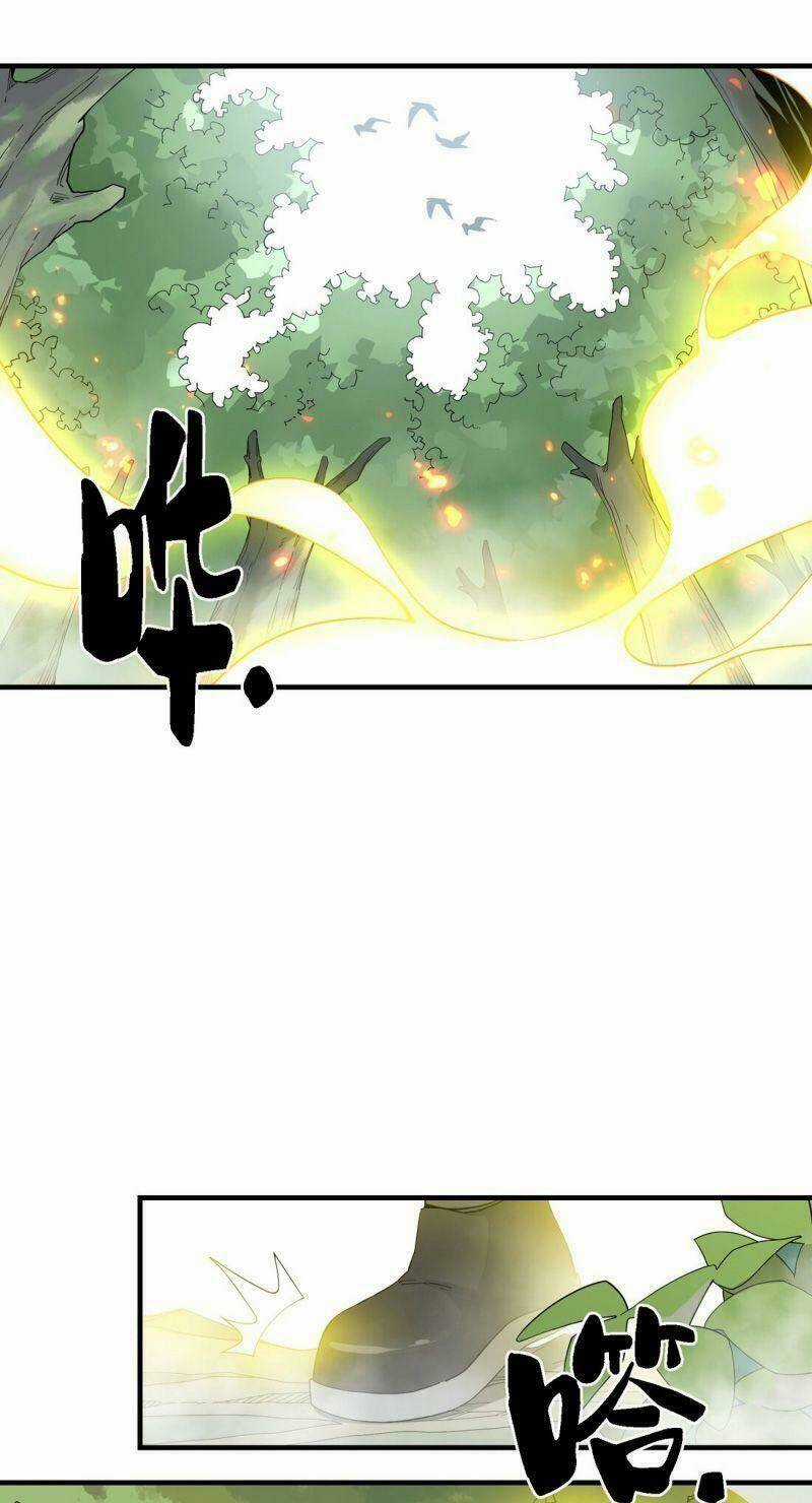 Tôi Vô Địch Sau Khi Xuống Núi Chapter 13 trang 44