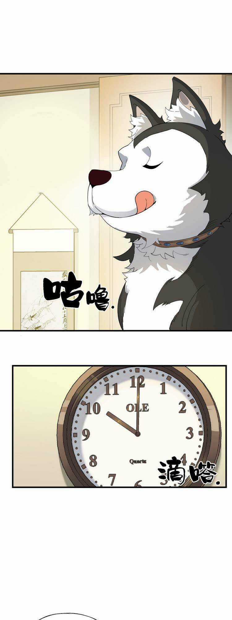 Tôi Vô Địch Sau Khi Xuống Núi Chapter 15 trang 11