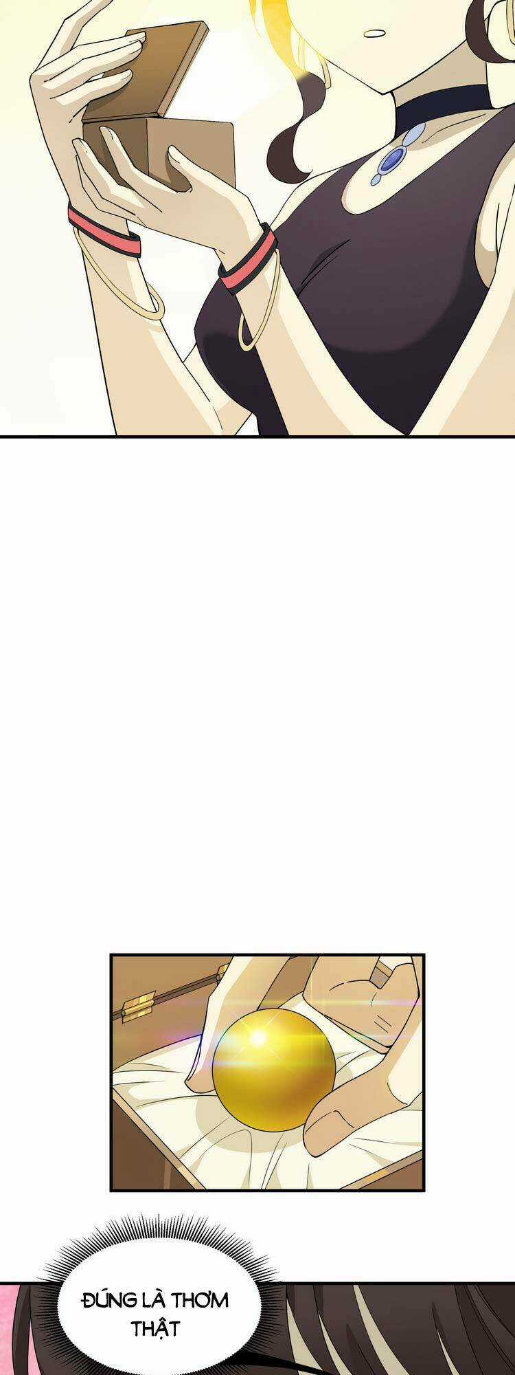 Tôi Vô Địch Sau Khi Xuống Núi Chapter 15 trang 15